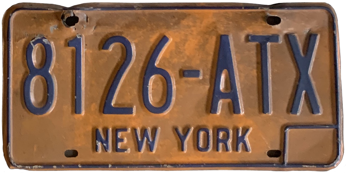 USA license plate | New York.3