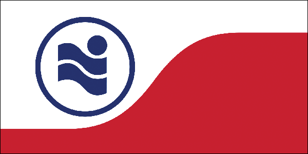 Stadtflagge Irving
