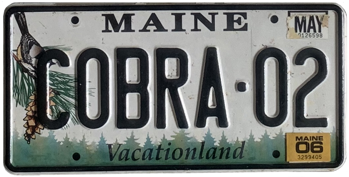 USA license plate | Maine.4