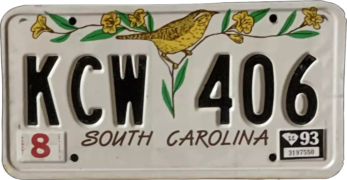 USA license plate | South Carolina.2