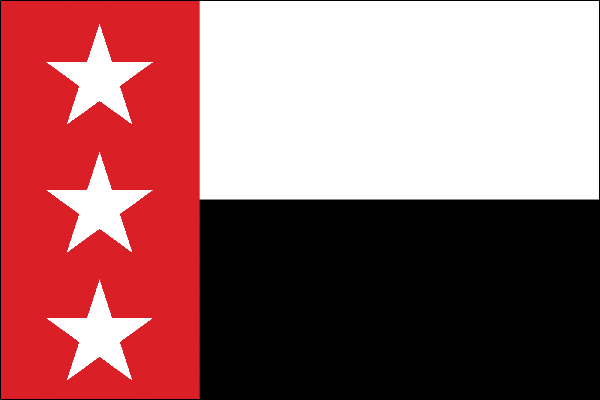 Stadtflagge Laredo