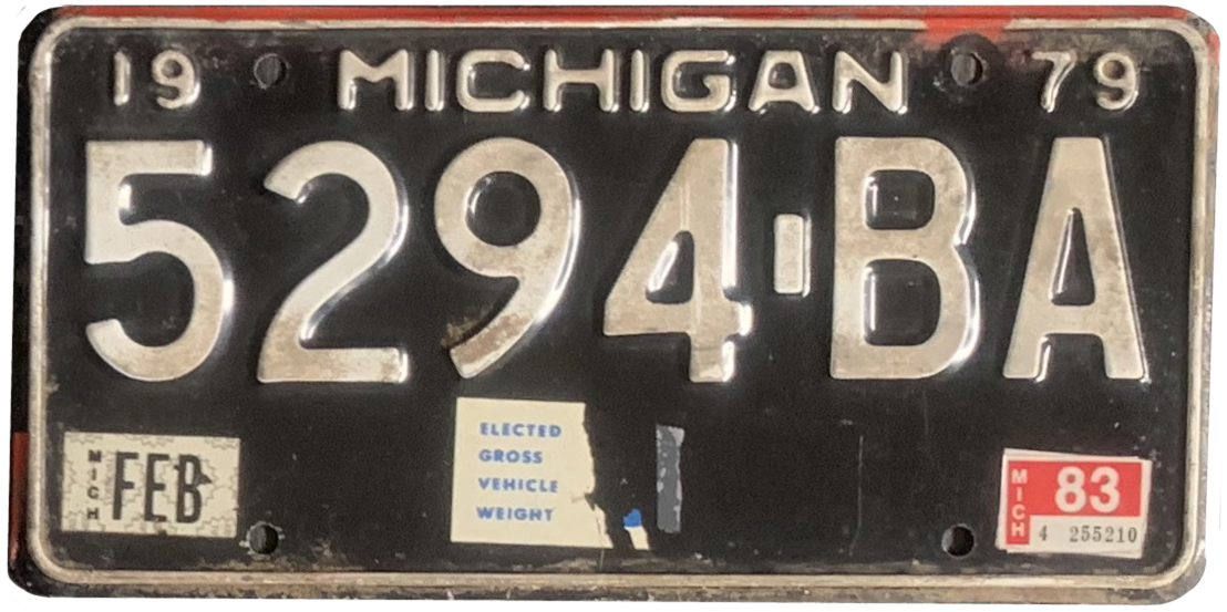 USA license plate | Michigan.3